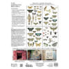 Entomology Etcetera IOD Image Transfer™ Pad