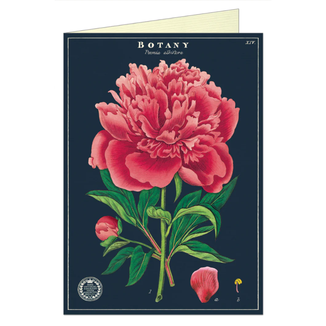 Botany Blank Card