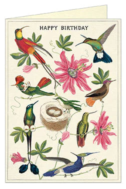 Happy Birthday Hummingbirds Card