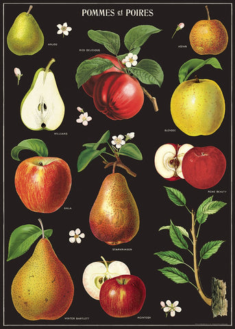 Apples and Pears Paper