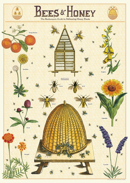 Bees and Honey Paper