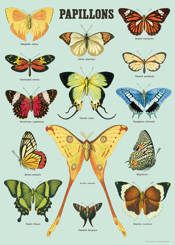 Papillons (Butterflies) Paper