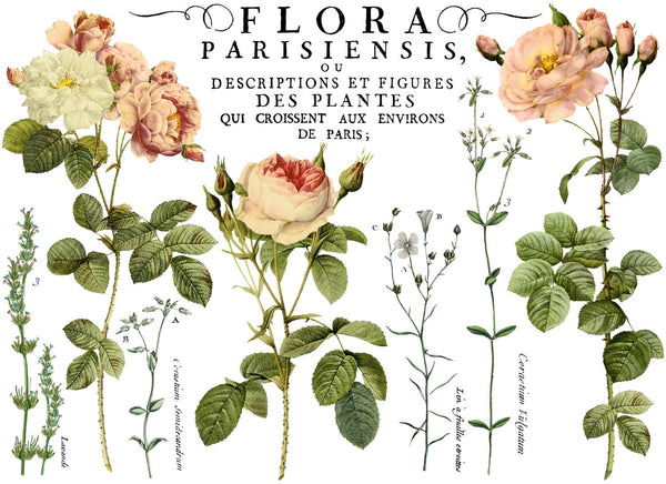 Flora Parisiensis IOD Decor Transfer™