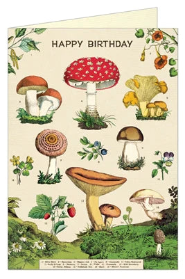 Happy Birthday Fungi/Mushrooms Card