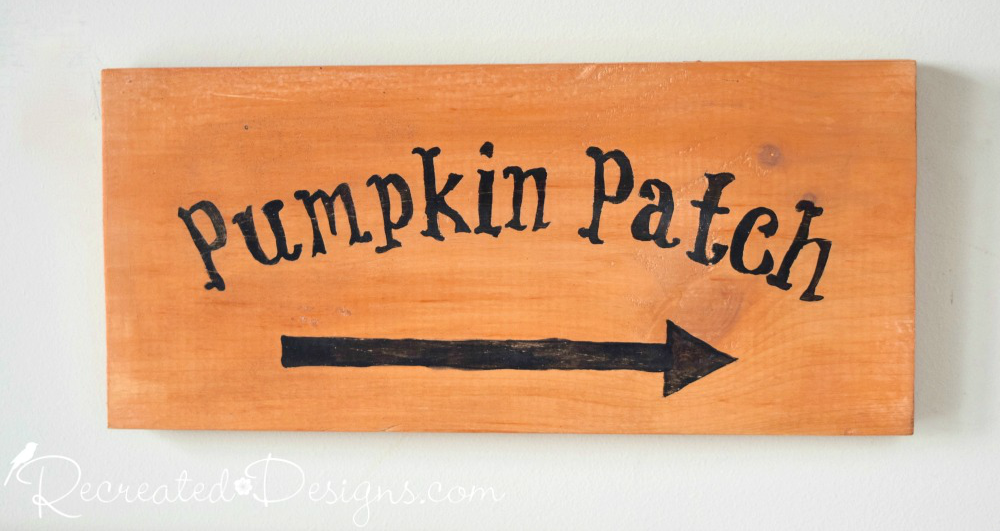 Pumpkin Patch